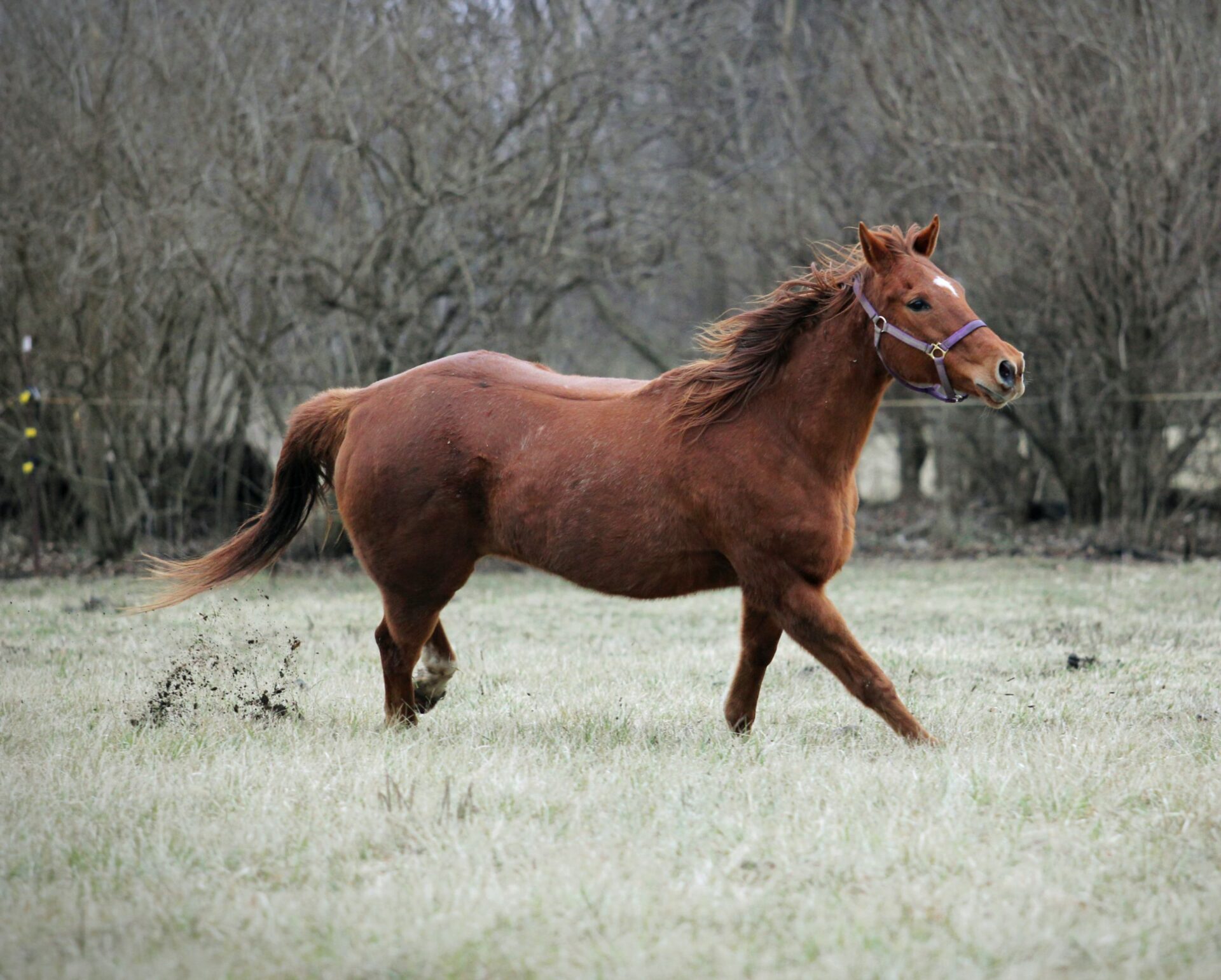 sheri-hooley-p8f7wvQPAiE-unsplash
