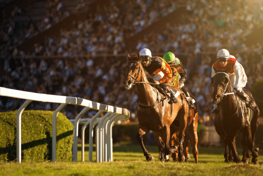 Buy or Sell a Racehorse, Luxury Assets - Saracens Solicitors