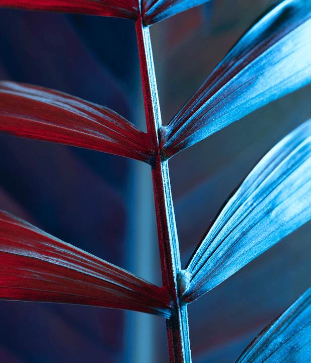 Our advisors are able to offer advice on a variety of options available to businesses including administration, company voluntary arrangements, liquidation, and receivership. We also have the expertise to offer advice and guidance to creditors of an insolvent party.